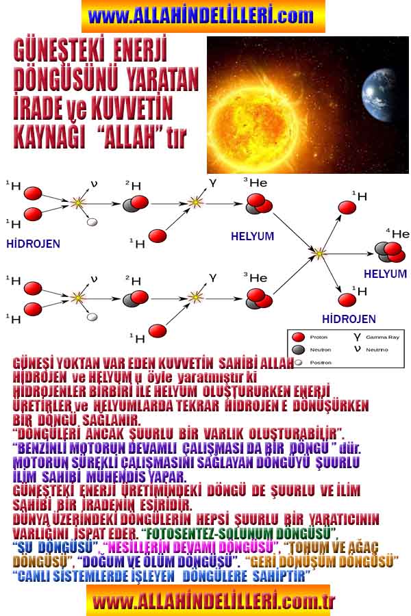 allahin varliginin delilleri