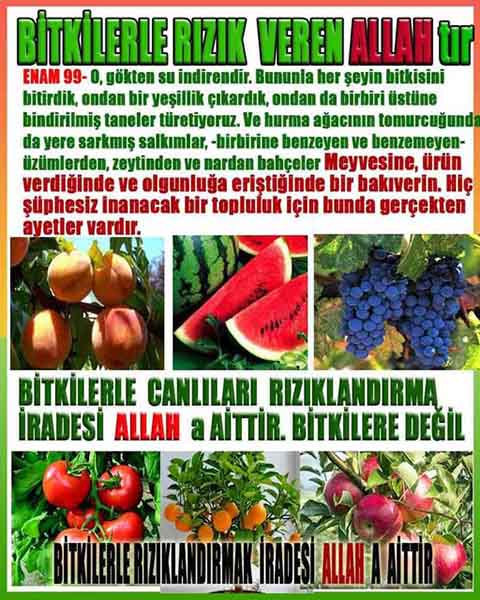 allahin delilleri, allah in delilleri, allah-delilleri, allah var delilleri, allahin varliginin delilleri