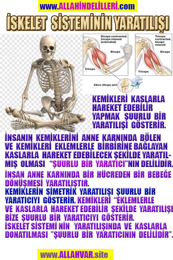 allahin delilleri, allah in delilleri, allah-delilleri, allah var delilleri, allahin varliginin delilleri